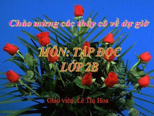 Tuần 28. Cây dừa