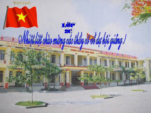 Tuần 29. Cây đa quê hương