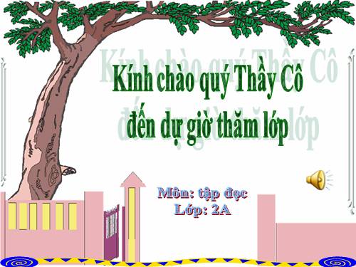 Tuần 12. Mẹ