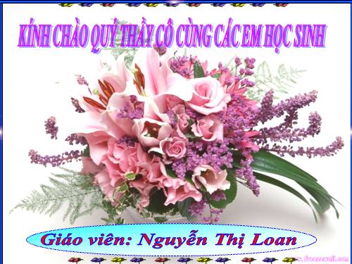 Tuần 28. Cây dừa