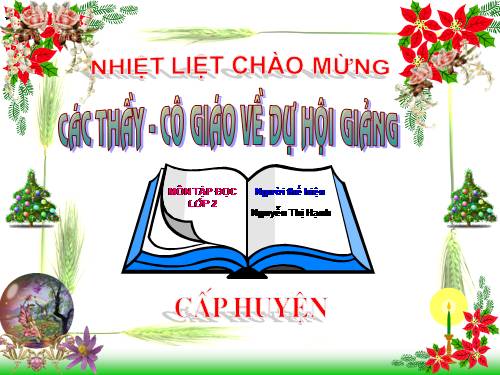 Tuần 11. Cây xoài của ông em
