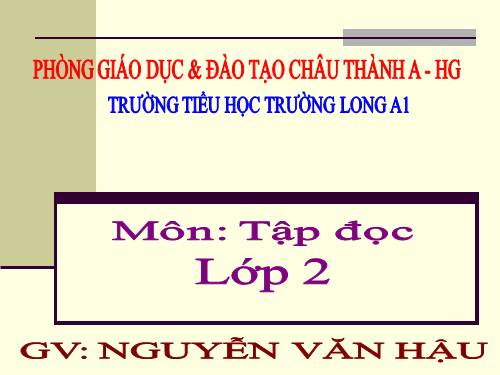Tuần 31. Chiếc rễ đa tròn