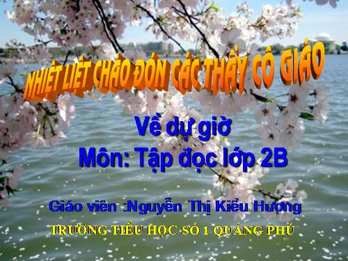 Tuần 28. Cây dừa