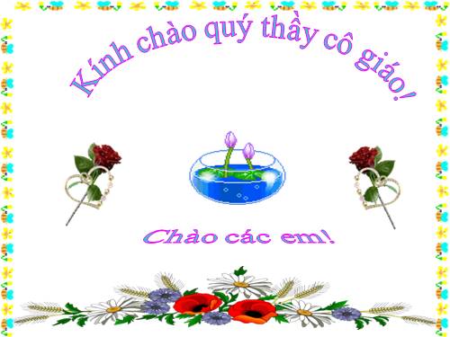 Tuần 28. Cây dừa