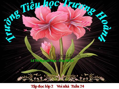Tuần 24. Voi nhà