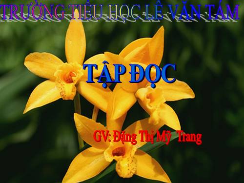 Tuần 24. Voi nhà