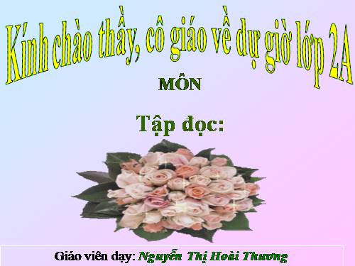 Tuần 24. Voi nhà
