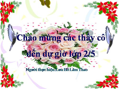 Tuần 20. Mùa xuân đến