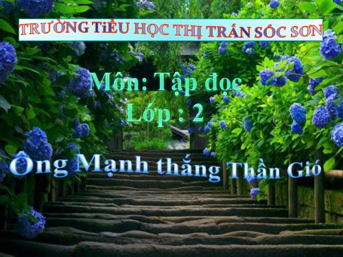 Tuần 20. Ông Mạnh thắng Thần Gió