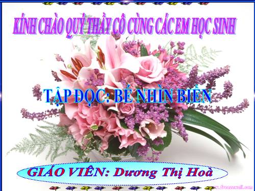 Tuần 25. Bé nhìn biển