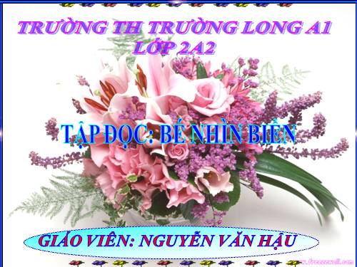 Tuần 25. Bé nhìn biển