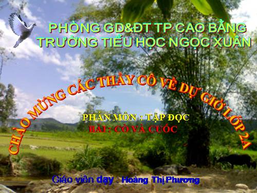 Tuần 22. Cò và Cuốc