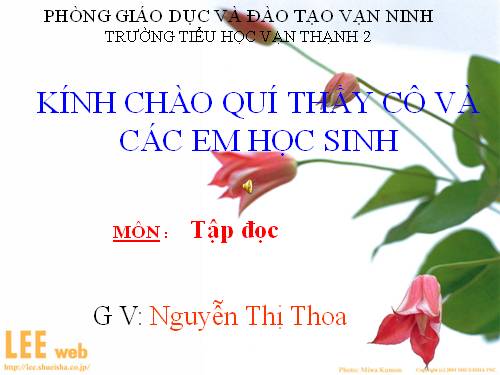 Tuần 12. Mẹ