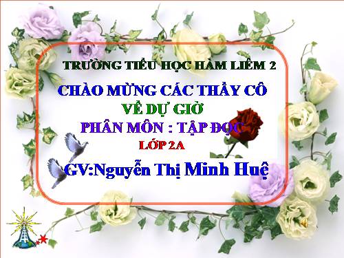 Tuần 20. Mùa xuân đến