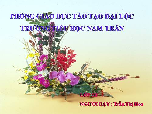 Tuần 13. Quà của bố