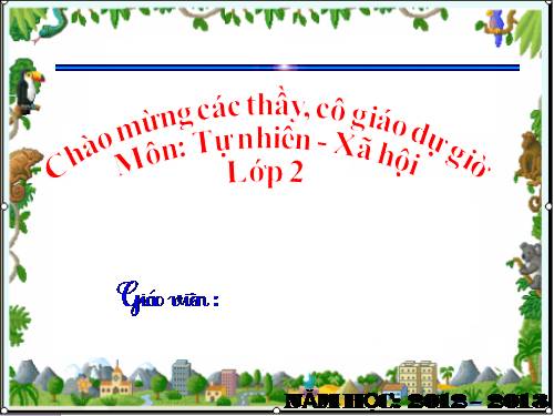 Tuần 14. Câu chuyện bó đũa
