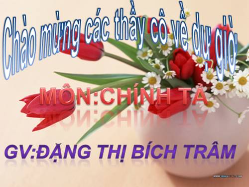 Tuần 7. Cô giáo lớp em