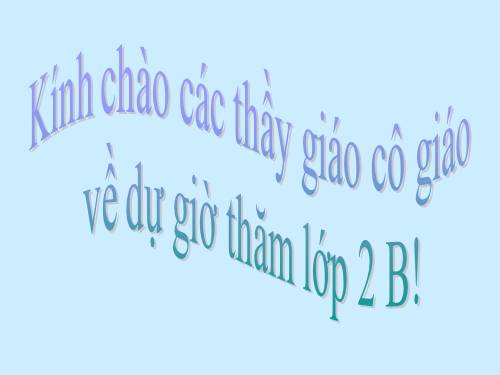 Tuần 28. Cây dừa