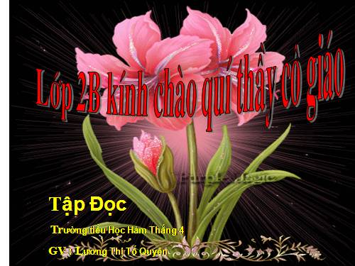 Tuần 15. Bé Hoa