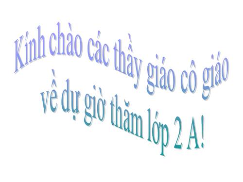 Tuần 8. Bàn tay dịu dàng