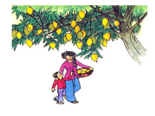 Tuần 11. Cây xoài của ông em