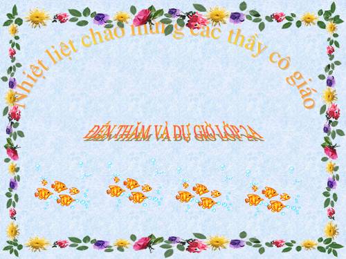 Tuần 16. Thời gian biểu