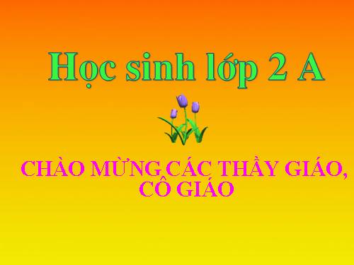 Tuần 8. Người mẹ hiền