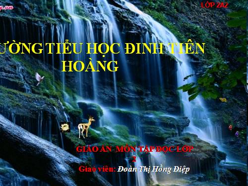 Tuần 8. Người mẹ hiền