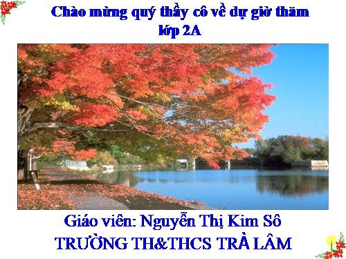 Tuần 13. Bông hoa Niềm Vui