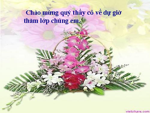 Tuần 12. Mẹ