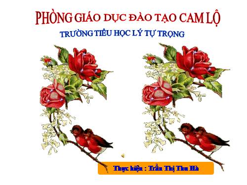 Tuần 13. Bông hoa Niềm Vui