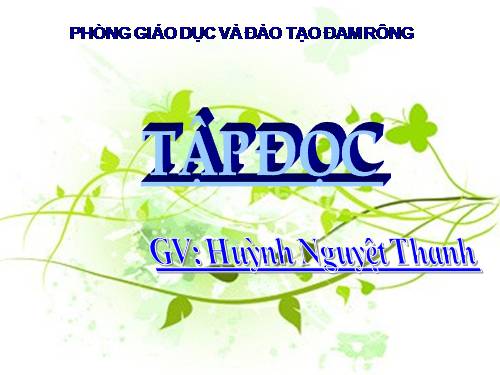 Tuần 12. Mẹ