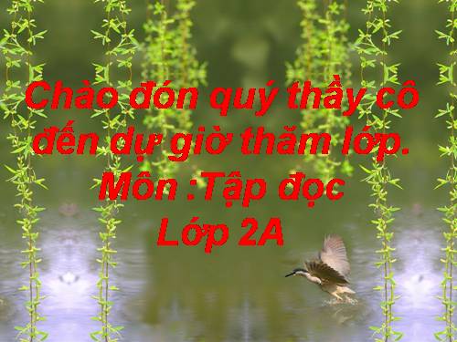 Tuần 11. Cây xoài của ông em