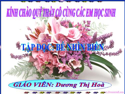 Tuần 25. Bé nhìn biển