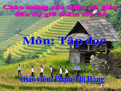 Tuần 24. Voi nhà
