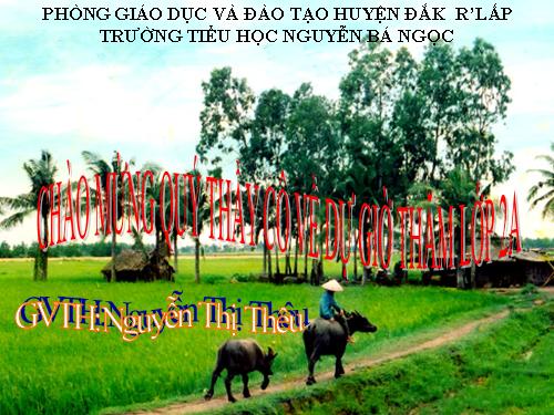 Tuần 8. Bàn tay dịu dàng