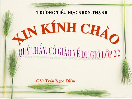 Tuần 4. Trên chiếc bè