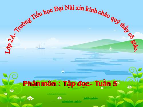 Tuần 5. Chiếc bút mực