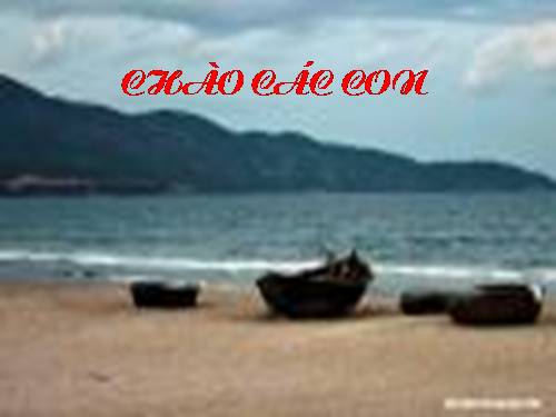 Tuần 7. Thời khoá biểu
