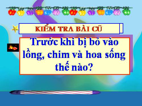 Tuần 21. Vè chim