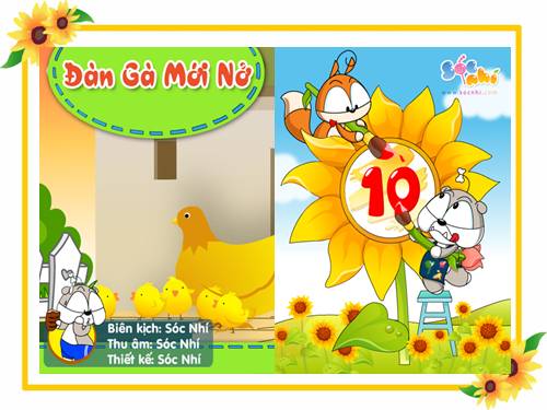 Tuần 16. Đàn gà mới nở