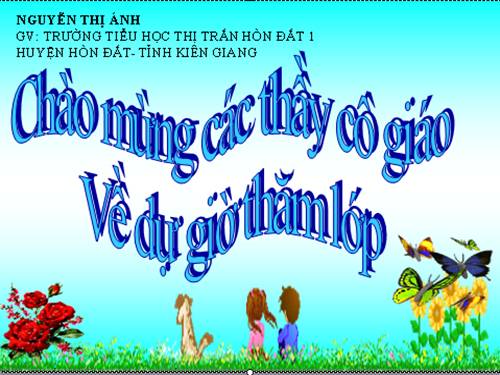 Tuần 31. Chiếc rễ đa tròn