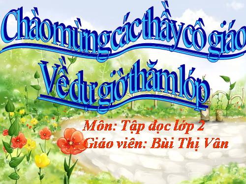 Tuần 31. Chiếc rễ đa tròn
