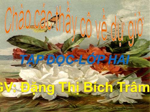 Tuần 11. Cây xoài của ông em