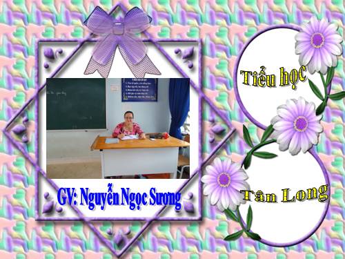 Tuần 24. Voi nhà