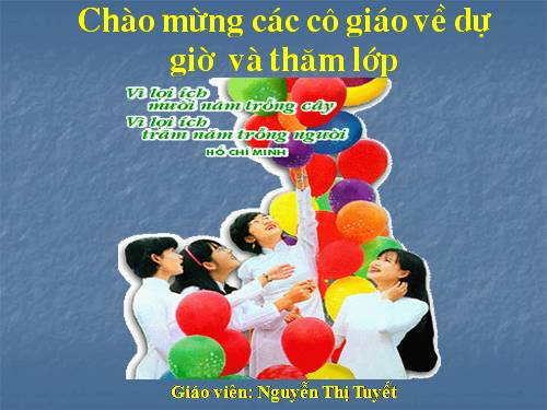 Tuần 31. Cây và hoa bên lăng Bác