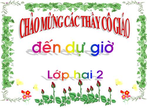 Tuần 28. Cây dừa