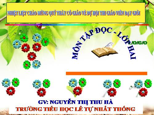 Tuần 28. Cây dừa