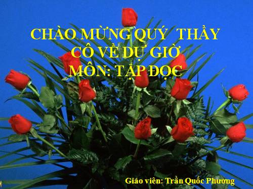 Tuần 28. Cây dừa