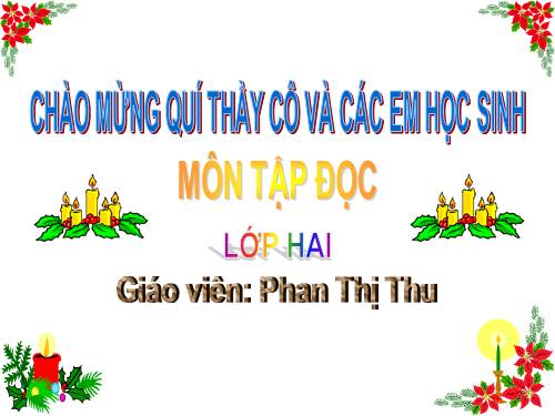 Tuần 28. Cây dừa